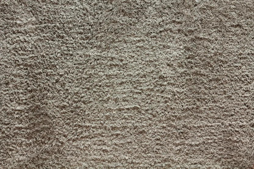 Shaggy Posh