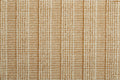 Shazia Stripe